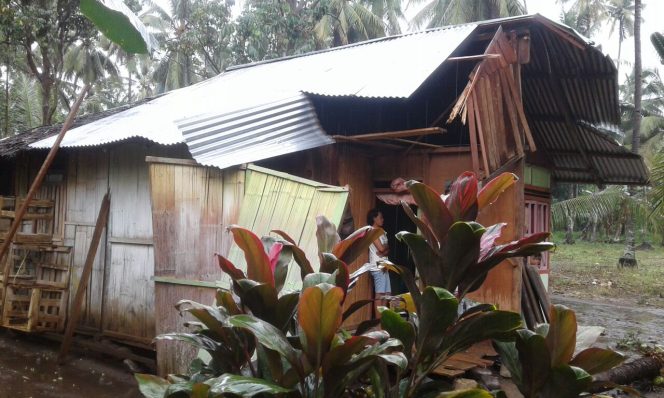 
Rumah warga Poigar II, rusak tertimpa pohon
