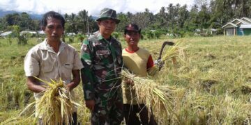 Kodim 1303 Bolmong Beri Pendampingan Kelompok Tani