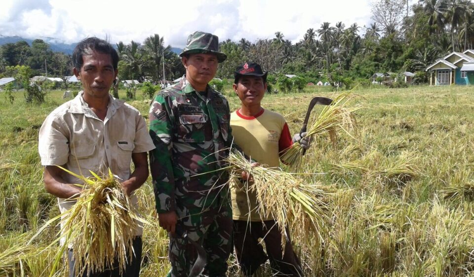 Kodim 1303 Bolmong Beri Pendampingan Kelompok Tani