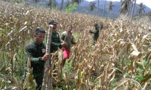 Pengecekan lahan Korem