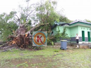 PicsArt_02-06-02.49.40