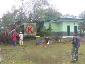 PicsArt_02-06-02.52.21