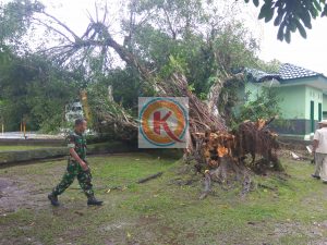 PicsArt_02-06-02.53.44