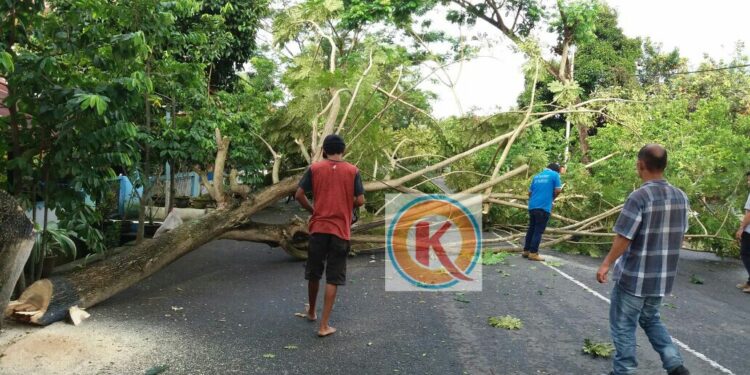 Kotamobagu Rawan Bencana