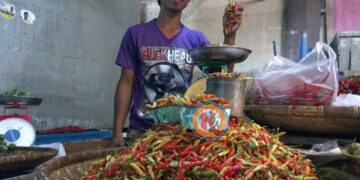 Harga Cabai di Kotamobagu Tembus Rp150 Ribu