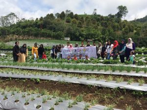 Foto saat di kebun strawbery