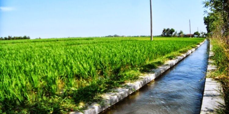 Proyek Pemeliharaan Irigasi Dari Pemprov Tuai Sorotan