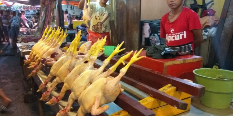Sepi Pembeli, Harga Daging Ayam Turun