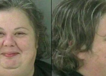 Kesepian, Wanita Ini Bercinta dengan Kuda yang Diberi Viagra