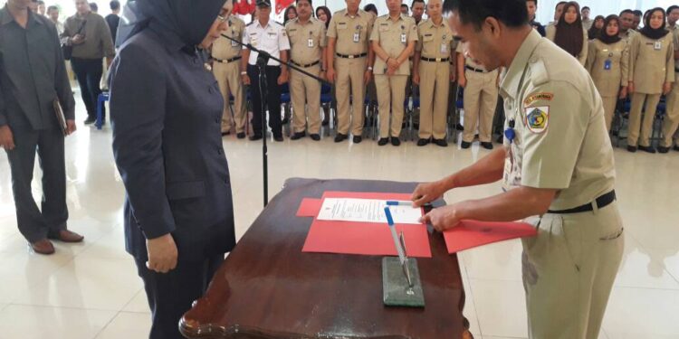 Tatong Tunjuk Adnan Massinae Gantikan Tahlis
