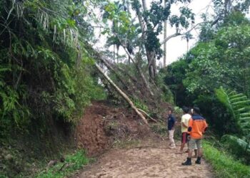 Pemkab Lakukan Langkah Cepat Tangani 12 Titik Longsor