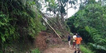 Pemkab Lakukan Langkah Cepat Tangani 12 Titik Longsor