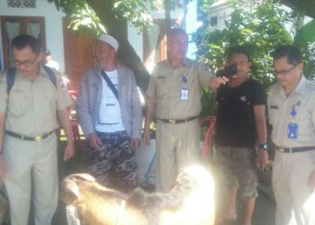 Dinkes Jamin Hewan Kurban di Kotamobagu Aman Dikonsumsi 