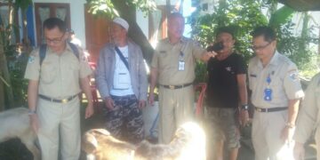 Dinkes Jamin Hewan Kurban di Kotamobagu Aman Dikonsumsi 