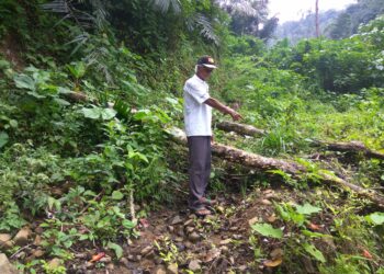 Proyek Dana Desa di Poyowa Besar I Asal-asalan