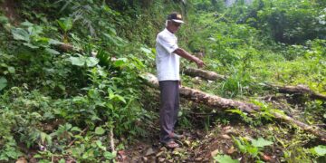 Proyek Dana Desa di Poyowa Besar I Asal-asalan