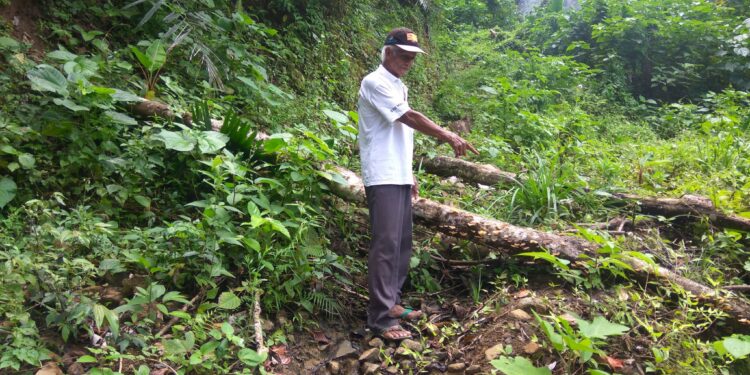 Proyek Dana Desa di Poyowa Besar I Asal-asalan