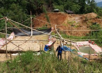 Ada WNA China, Pengolahan Rep Siram Marak di Tanoyan