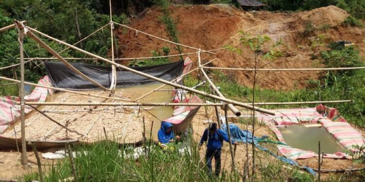 Ada WNA China, Pengolahan Rep Siram Marak di Tanoyan