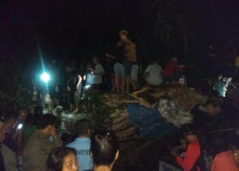 Pohon Beringin Tertua di Kopandakan Tumbang