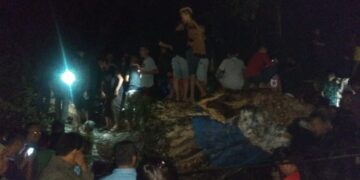 Pohon Beringin Tertua di Kopandakan Tumbang