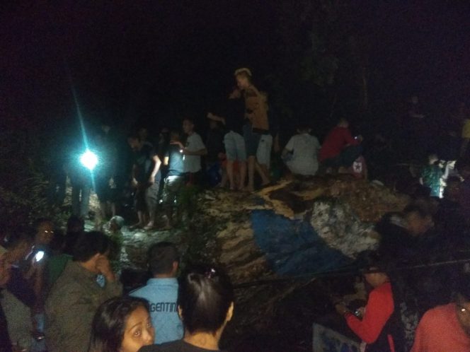 
Pohon beringin tertua di BMR, tumbang