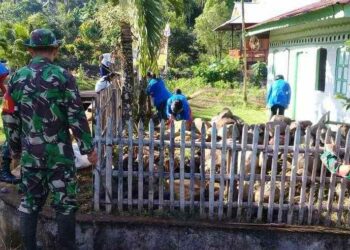 Dilirik Investor Norwegia, Ini Profil Desa Pomoman di Kecamatan Poigar