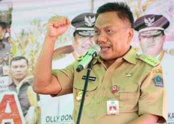 Serahkan 3.000 Bibit, Gubernur Ajak Petani Bolmong Tanam Alpukat dan Durian