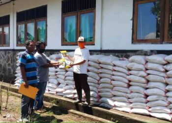 Jaga Ketahanan Pangan, Pemkab Bolmong Mulai Bagikan Benih Jagung Manis dan Pupuk