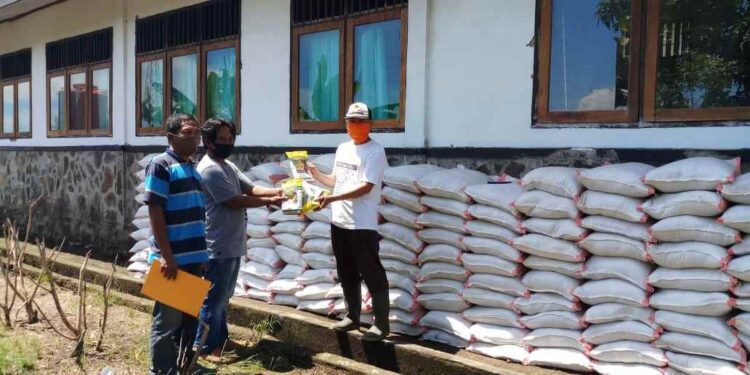 Jaga Ketahanan Pangan, Pemkab Bolmong Mulai Bagikan Benih Jagung Manis dan Pupuk