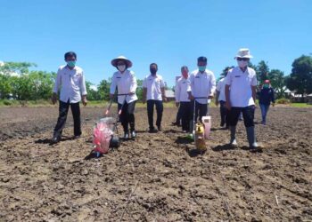 Selain Sembako, Bupati Yasti Juga Salurkan Bantuan Bibit dan Pupuk untuk Jamin Ketahanan Pangan Warga