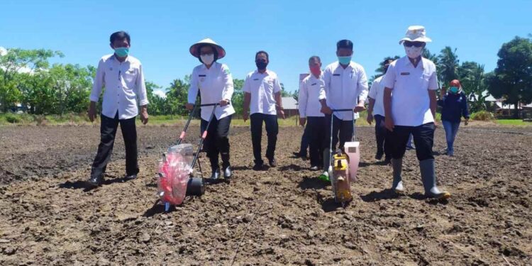 Selain Sembako, Bupati Yasti Juga Salurkan Bantuan Bibit dan Pupuk untuk Jamin Ketahanan Pangan Warga