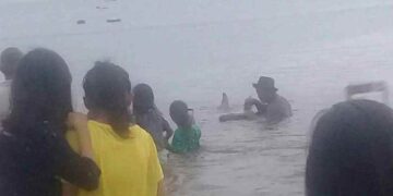 Petanda Apa Ya? Lumba-lumba Terdampar di Laut Inobonto Enggan Kembali ke Habitatnya