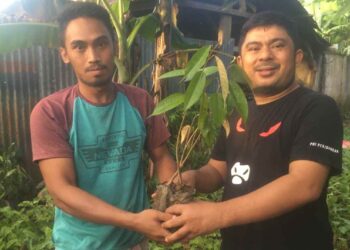 Mekal Bagikan 2.500 Bibit Pohon untuk 5 Poktan Perkebunan