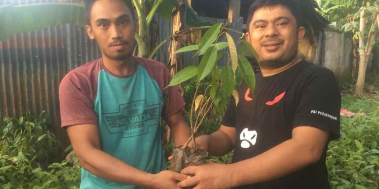 Mekal Bagikan 2.500 Bibit Pohon untuk 5 Poktan Perkebunan