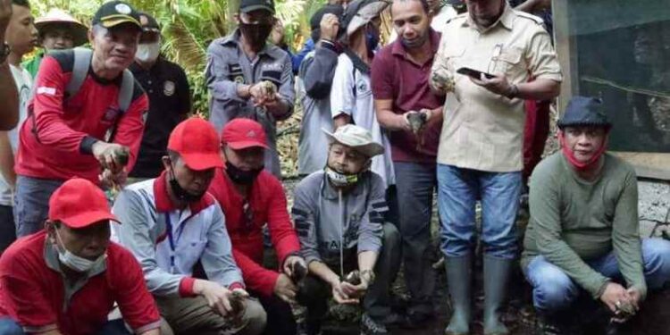 Peringatan Hari Lingkungan Hidup Sedunia, Bupati Bolsel Lepas 12 Burung Maleo dan Tanam 50 Pohon Nantu