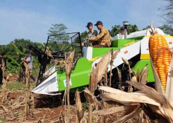 DPKP Bolsel Usulkan di Pusat Pengadaan Alsintan