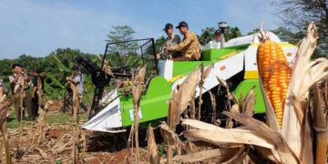 DPKP Bolsel Usulkan di Pusat Pengadaan Alsintan