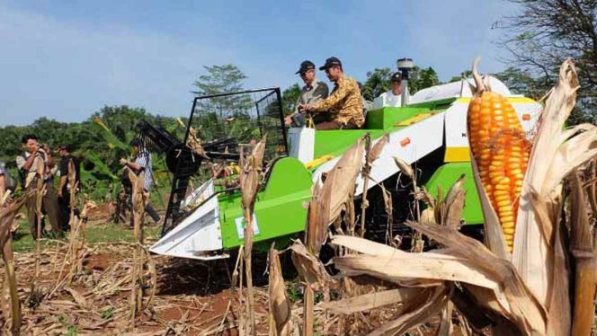 
DPKP Bolsel Usulkan di Pusat Pengadaan Alsintan