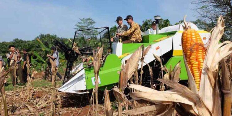 DPKP Bolsel Usulkan di Pusat Pengadaan Alsintan