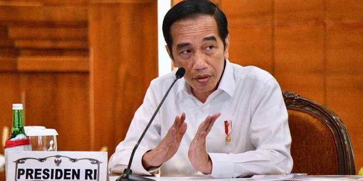 Jokowi: Pemulihan Ekonomi RI Diprediksi Tercepat Setelah China