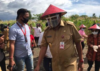 Bupati Yasti Dampingi Gubernur Sulut Serahkan Bantuan, Panen Jagung dan Tanam Padi