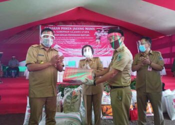 Bupati Yasti Dampingi Gubernur Sulut Serahkan Bantuan, Panen Jagung dan Tanam Padi