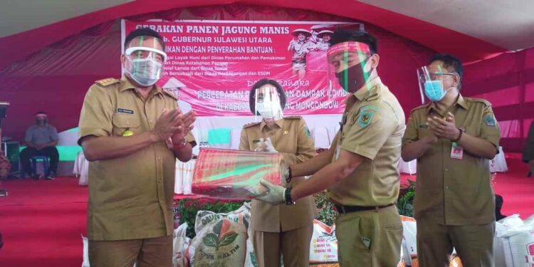 Bupati Yasti Dampingi Gubernur Sulut Serahkan Bantuan, Panen Jagung dan Tanam Padi