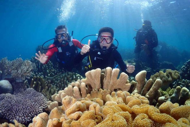 
Bupati Bersepeda Hingga Promosi Wisata Bawah Laut yang Menakjubkan, Jika Liburan Datanglah ke-Bolsel