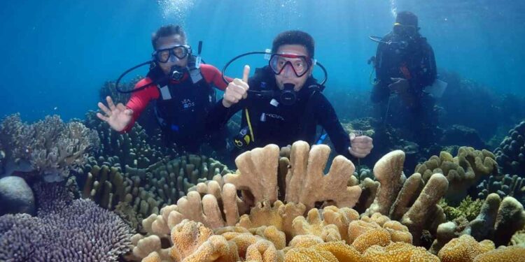 Bupati Bersepeda Hingga Promosi Wisata Bawah Laut yang Menakjubkan, Jika Liburan Datanglah ke-Bolsel