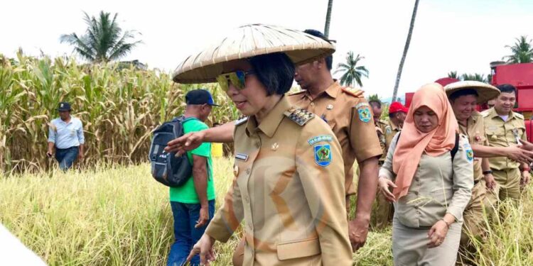 2.000 Investor Siap Masuk Bolmong