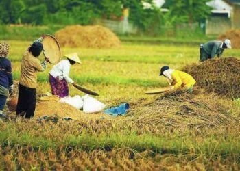 Masa Pandemi Covid-19, Bolsel Terus Pertahankan Produksi Pertanian