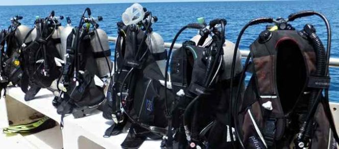 
Peringatan HUT ke-12 Bolsel, Panitia Siapkan Peralatan Diving Gratis untuk Warga