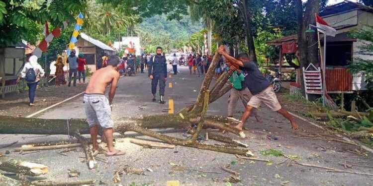 Camat Passi Barat Imbau Warga Waspadai Pohon Tumbang